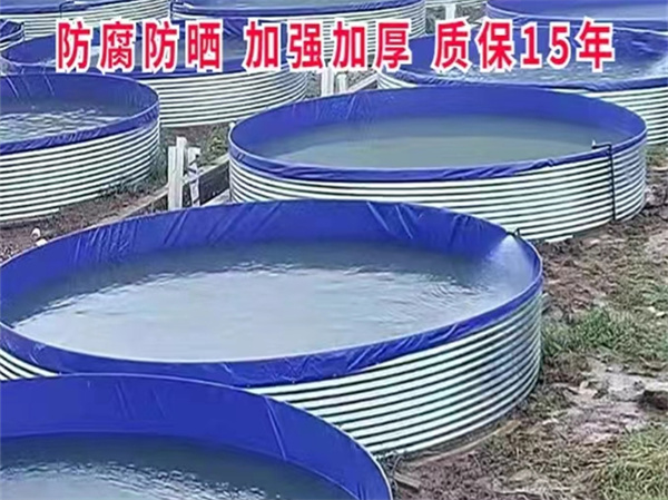 案例展示